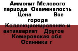 Аммонит Мелового периода. Окаменелость. › Цена ­ 2 800 - Все города Коллекционирование и антиквариат » Другое   . Кемеровская обл.,Осинники г.